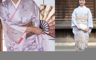 kimono什么意思,kimono中文翻译,kimono用法及例句,kimono怎么读