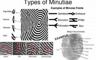 minutiae什么意思,minutiae中文翻译,minutiae用法及例句,minutiae怎么读