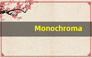 Monochromatic的翻译,Monochromatic怎么读,Monochromatic造句及用法