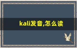 kali发音,怎么读,kali什么意思,kali例句用法