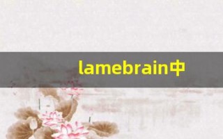lamebrain中文意思,lamebrain中文翻译,lamebrain用法及例句,lamebrain语法