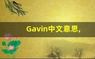 Gavin中文意思,Gavin中文翻译,Gavin用法及例句,Gavin语法