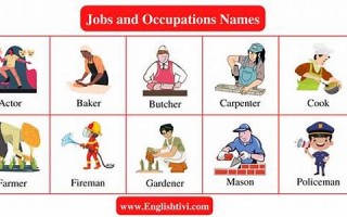 occupation什么意思,occupation中文翻译,occupation用法及例句,occupation怎么读