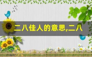 二八佳人的意思,二八佳人的近义词反义词,二八佳人造句例句,二八佳人出处及解释
