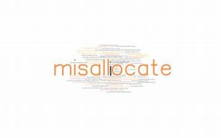 misallocation什么意思,misallocation中文翻译,misallocation用法及例句,misallocation怎么读