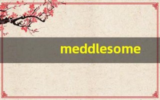 meddlesome什么意思,meddlesome用法,meddlesome造句