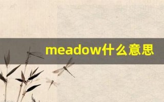 meadow什么意思,meadow用法,meadow造句