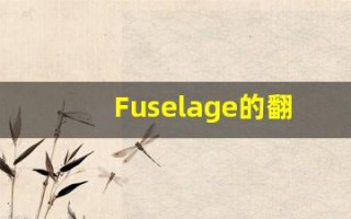 Fuselage的翻译,Fuselage怎么读,Fuselage造句及用法